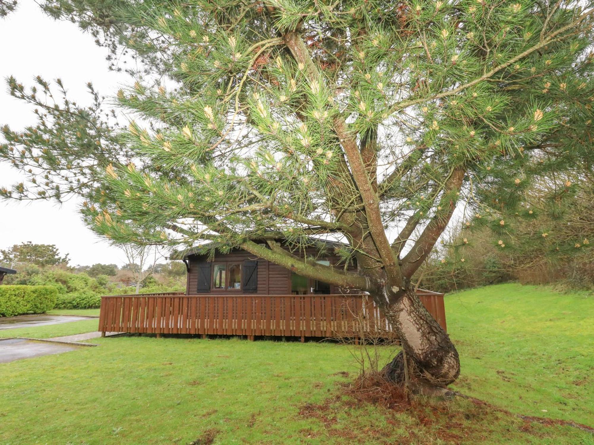 16 Amber Wood Lodge Lymington Buitenkant foto